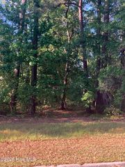 134 Legacy Woods Drive, Wallace, NC 28466