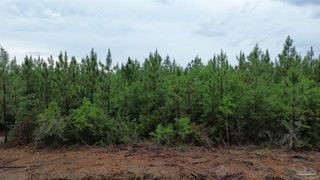 Lot 8 Pineview Church Rd, Jay, FL 32565