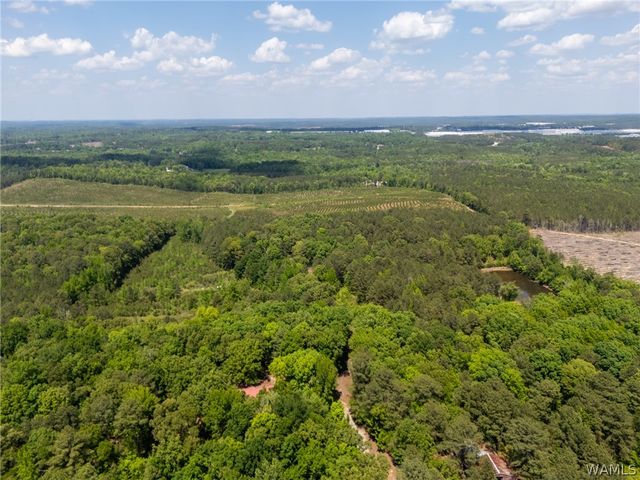 11021 Dale Earnhart Drive, Vance, AL 35490