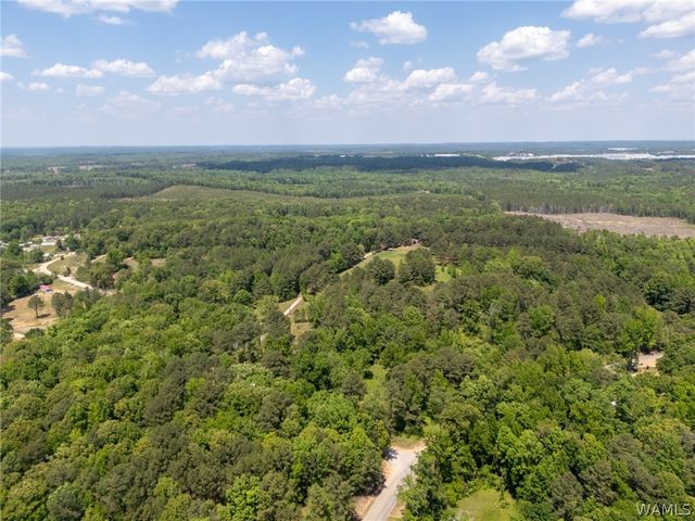 11021 Dale Earnhart Drive, Vance, AL 35490