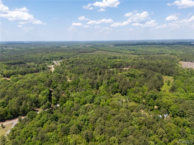 11021 Dale Earnhart Drive, Vance, AL 35490