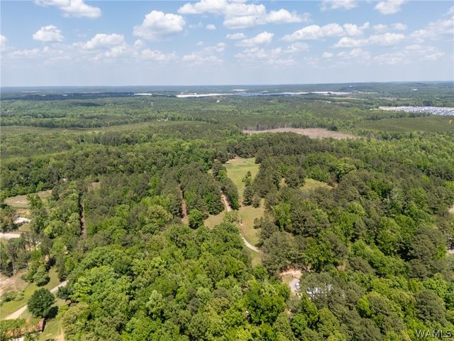 11021 Dale Earnhart Drive, Vance, AL 35490