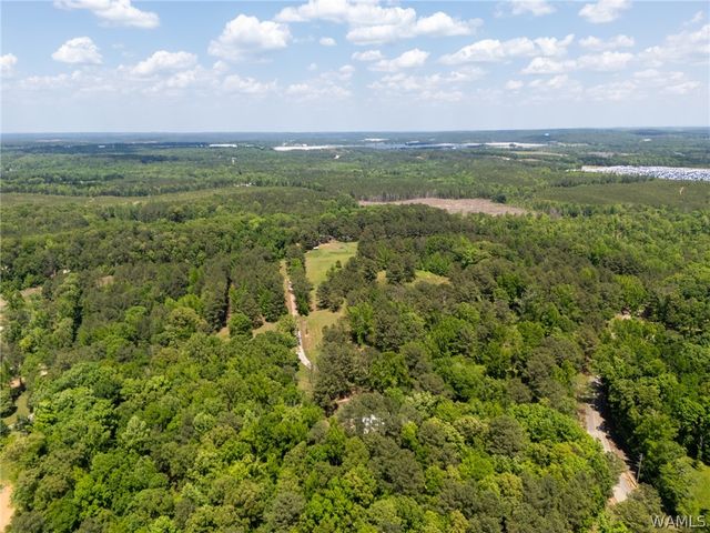 11021 Dale Earnhart Drive, Vance, AL 35490