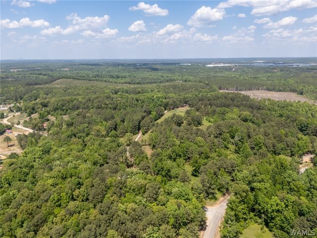 11021 Dale Earnhart Drive, Vance, AL 35490