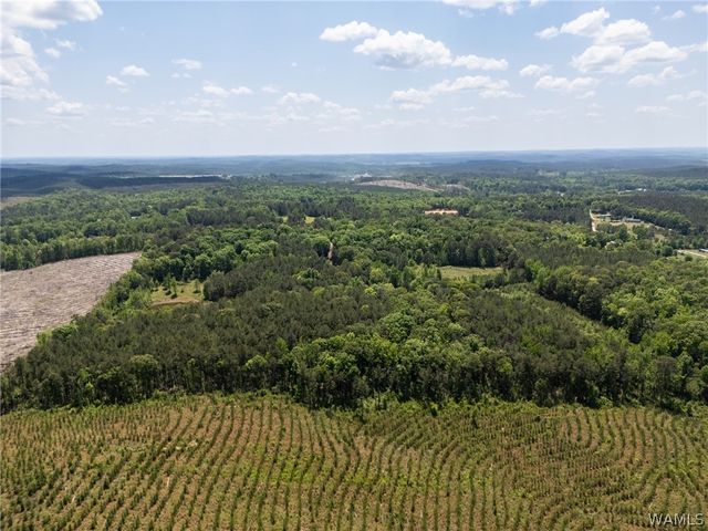 11021 Dale Earnhart Drive, Vance, AL 35490