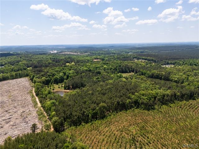 11021 Dale Earnhart Drive, Vance, AL 35490