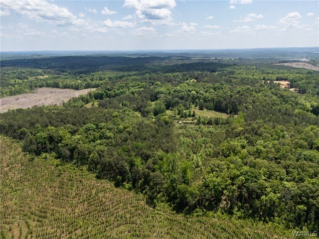 11021 Dale Earnhart Drive, Vance, AL 35490