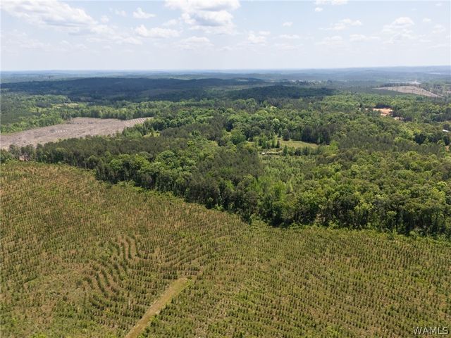 11021 Dale Earnhart Drive, Vance, AL 35490