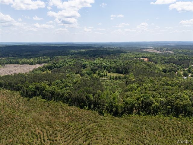 11021 Dale Earnhart Drive, Vance, AL 35490