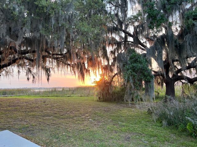 9429 CRESCENT RAY DRIVE, Wesley Chapel, FL 33545