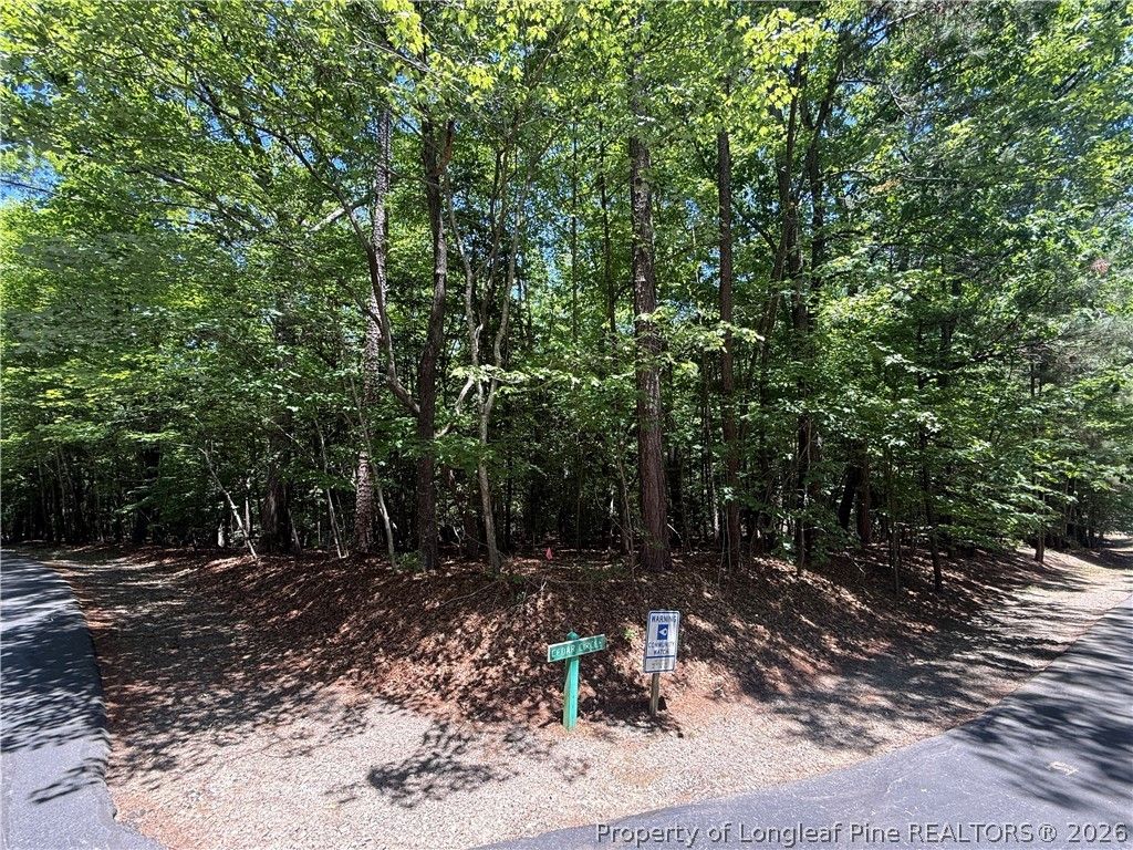 2056 Long Point Trail, Sanford, NC 27332 — photo 2