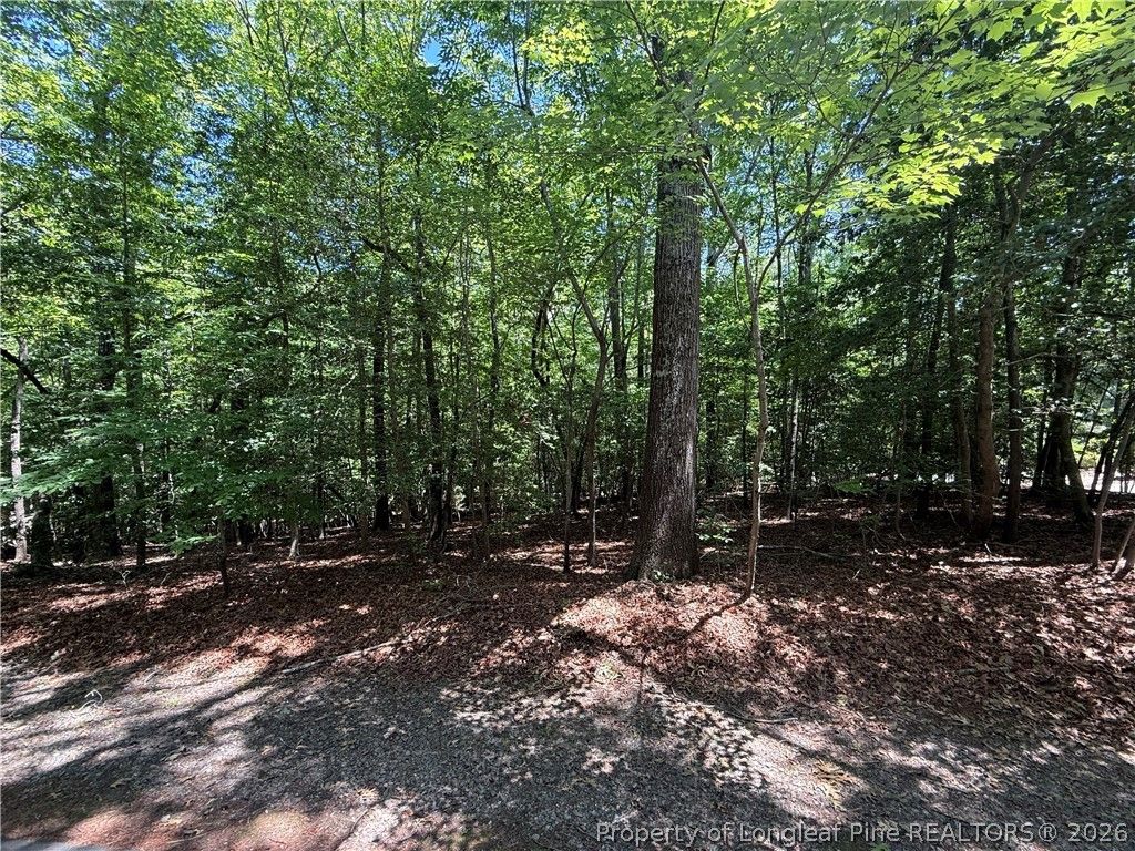 2056 Long Point Trail, Sanford, NC 27332 — photo 3