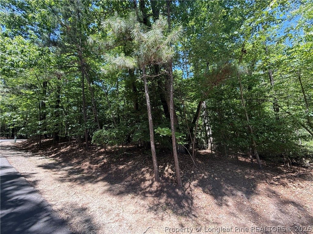 2056 Long Point Trail, Sanford, NC 27332 — photo 4