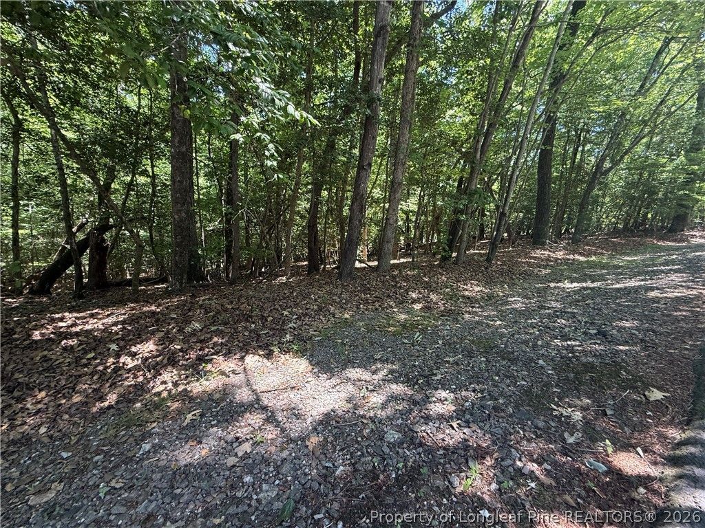 2056 Long Point Trail, Sanford, NC 27332 — photo 5