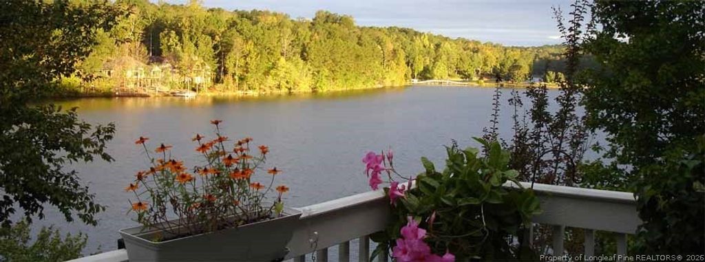 2056 Long Point Trail, Sanford, NC 27332 — photo 6