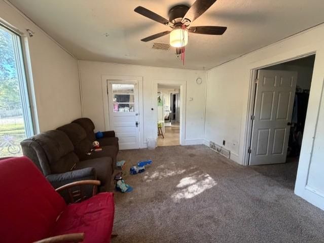 803 N Armstrong Avenue, Litchfield, MN 55355