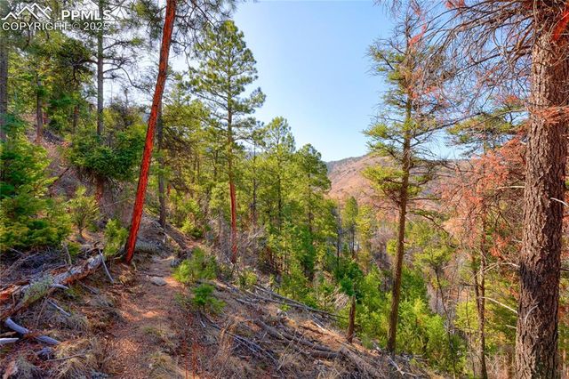 11055 Hondo Avenue, Green Mountain Falls, CO 80819