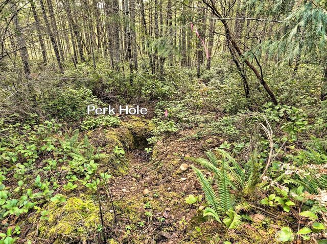 131 E Skyview Drive, Union, WA 98592