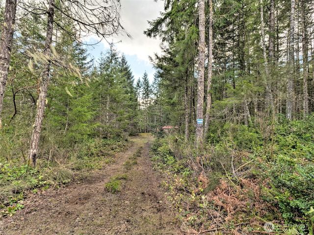 131 E Skyview Drive, Union, WA 98592