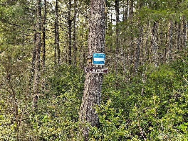 131 E Skyview Drive, Union, WA 98592