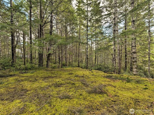 131 E Skyview Drive, Union, WA 98592