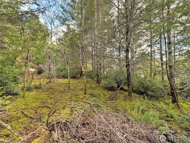 131 E Skyview Drive, Union, WA 98592