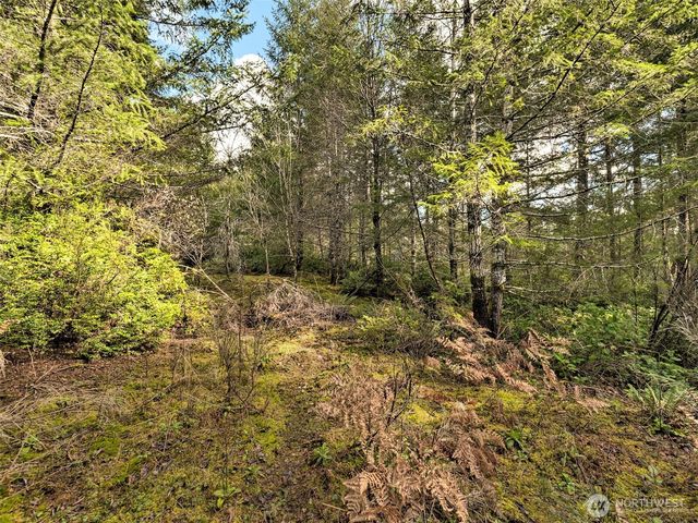 131 E Skyview Drive, Union, WA 98592