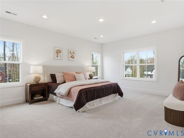 5007 Lake Summer Loop, Moseley, VA 23120