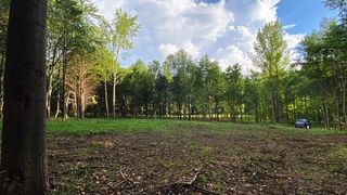 7882 Bill Moss Rd, White House, TN 37188
