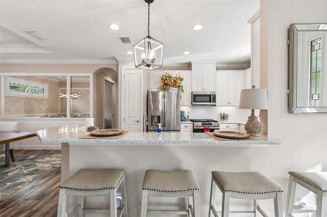 11658 CALLISIA DRIVE, Odessa, FL 33556