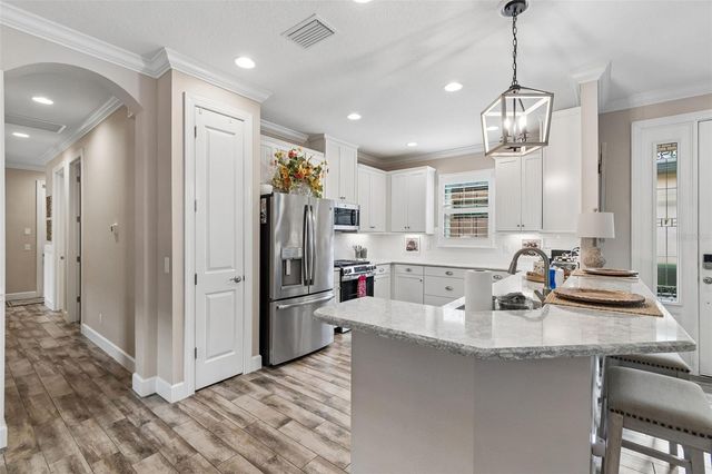 11658 CALLISIA DRIVE, Odessa, FL 33556