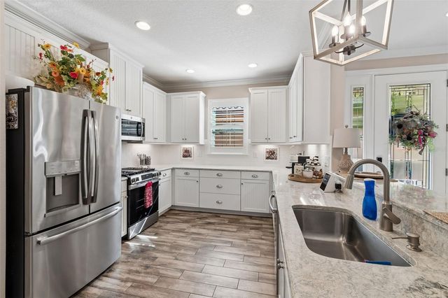 11658 CALLISIA DRIVE, Odessa, FL 33556