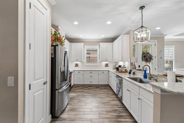 11658 CALLISIA DRIVE, Odessa, FL 33556