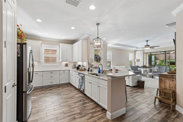 11658 CALLISIA DRIVE, Odessa, FL 33556