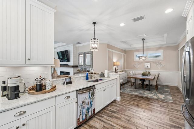 11658 CALLISIA DRIVE, Odessa, FL 33556