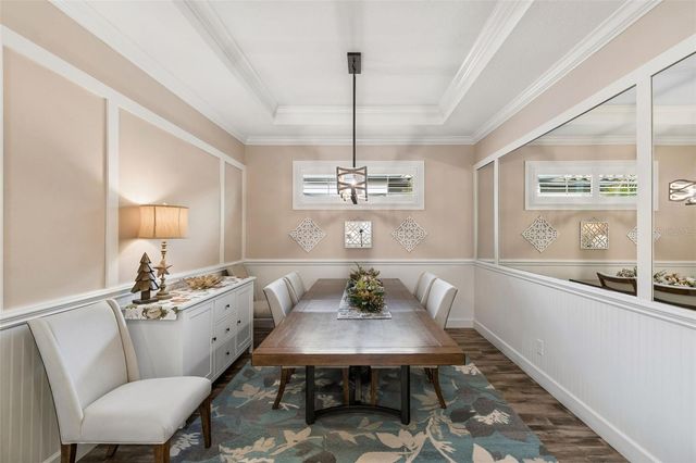 11658 CALLISIA DRIVE, Odessa, FL 33556