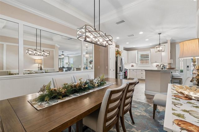 11658 CALLISIA DRIVE, Odessa, FL 33556