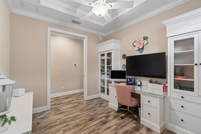 11658 CALLISIA DRIVE, Odessa, FL 33556