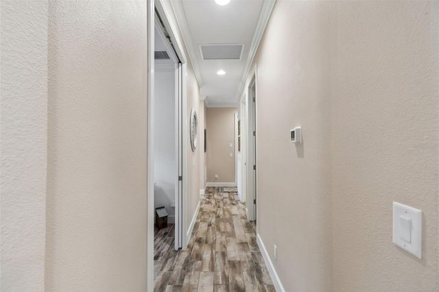 11658 CALLISIA DRIVE, Odessa, FL 33556