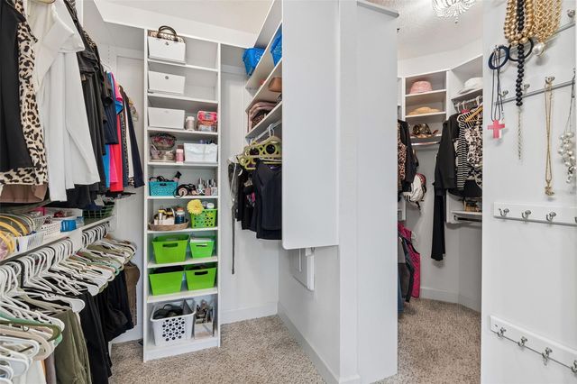 11658 CALLISIA DRIVE, Odessa, FL 33556