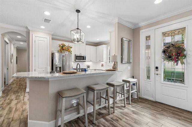 11658 CALLISIA DRIVE, Odessa, FL 33556