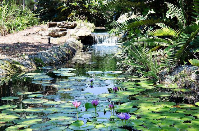 7945 SE Paurotis Lane, Hobe Sound, FL 33455