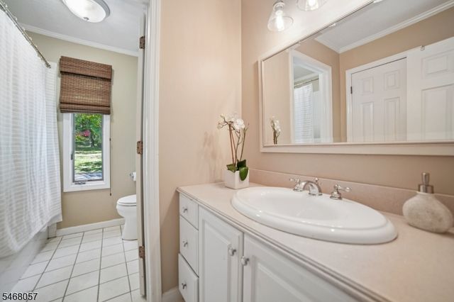 716 RIVER ROAD, Chatham Twp., NJ 07928
