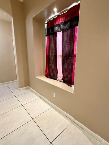 1339 Anahi Street, Alamo, TX 78516