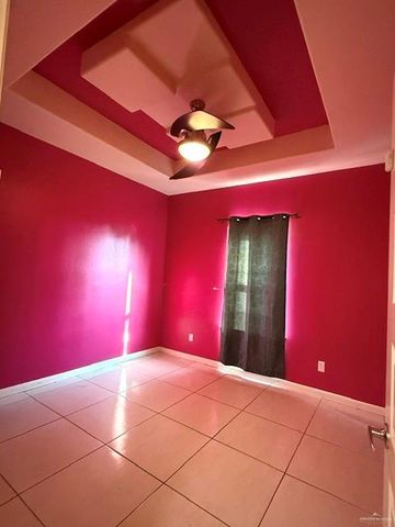 1339 Anahi Street, Alamo, TX 78516