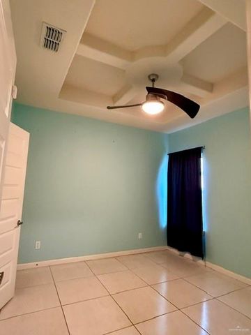 1339 Anahi Street, Alamo, TX 78516