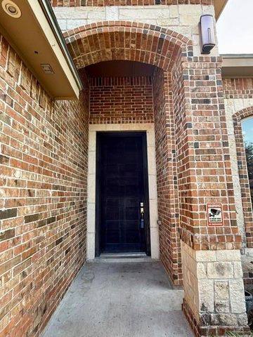 1339 Anahi Street, Alamo, TX 78516