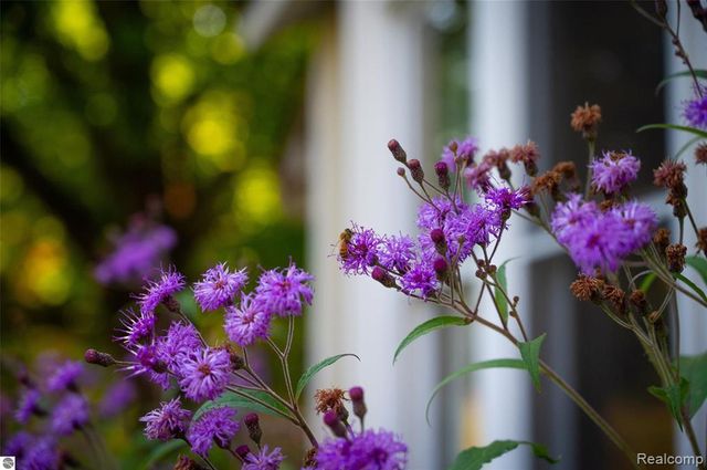 10910 S Shore Road, Suttons Bay, MI 49682