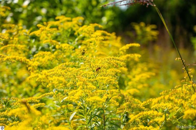 10910 S Shore Road, Suttons Bay, MI 49682