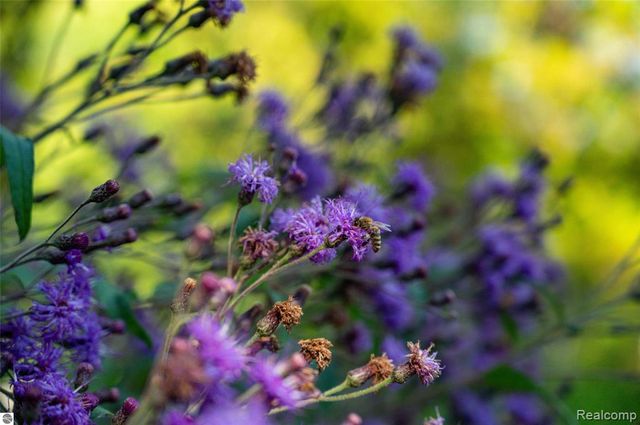 10910 S Shore Road, Suttons Bay, MI 49682